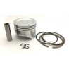 HONDA PISTON ANILLOS GC135 GC160 GCV135 GCV160 13101-ZL8-000 13010-ZL8-003 90551-ZE0-000 13111-ZE0-000