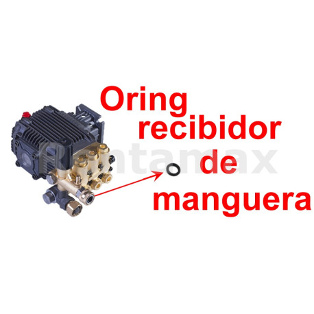 ORING RECIBIDOR MANGUERA 3/8