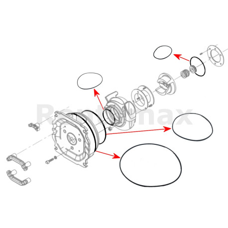 KIT ORING WACKER PT3 5000119408