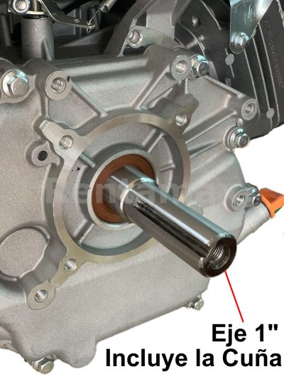 TP MOTOR 9HP GASOLINA 4 TIEMPOS