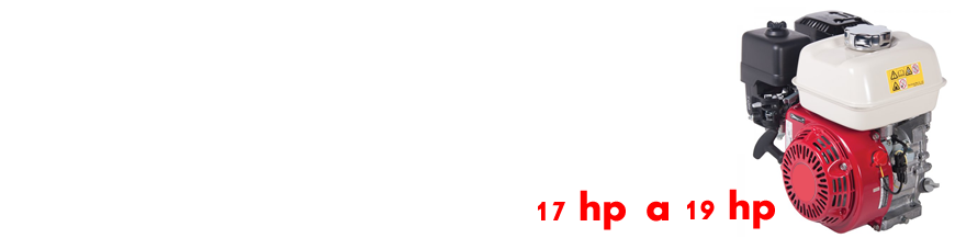 17-18-19 Hp categoría