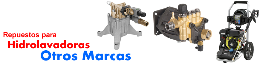 Repuestos y Accesorios Otras Marcas categoría