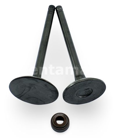 KIT VALVULAS CON SELLO VALVULA ROBIN EX40 - Imagen 2