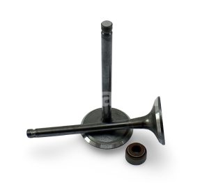 KIT VALVULAS SELLO VALVULA ROBIN EX40