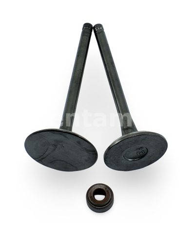 KIT VALVULAS SELLO VALVULA ROBIN EX40 - Imagen 2