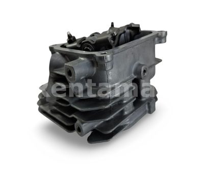CABEZOTE CON EMPAQUE CABEZOTE PARA PREDATOR HEMI 7HP - Imagen 3